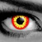 Red Wolf Contacts