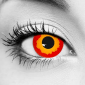Fire Contacts